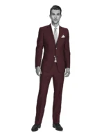 COTTON CLASSICS - Merlot Solid - Image 2