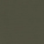 COTTON CLASSICS - Forest Green Solid