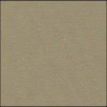 COTTON CLASSICS - Olive Solid